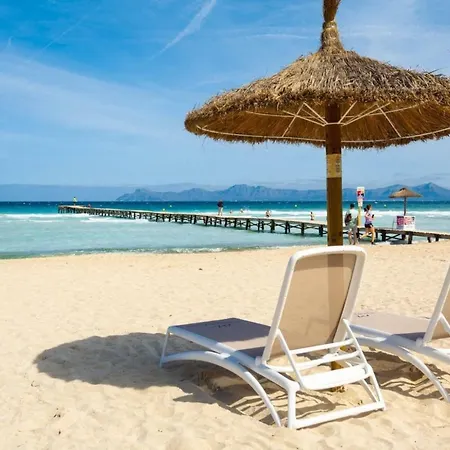 Algarrobo Pollenca